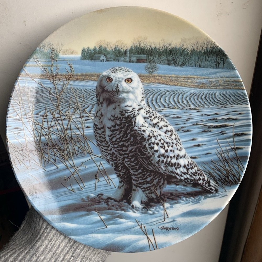 Snowy owl collector plate. Knowles China